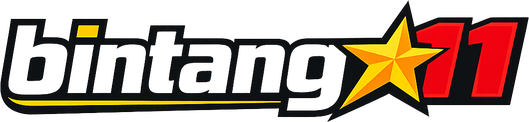 Logo bintang11
